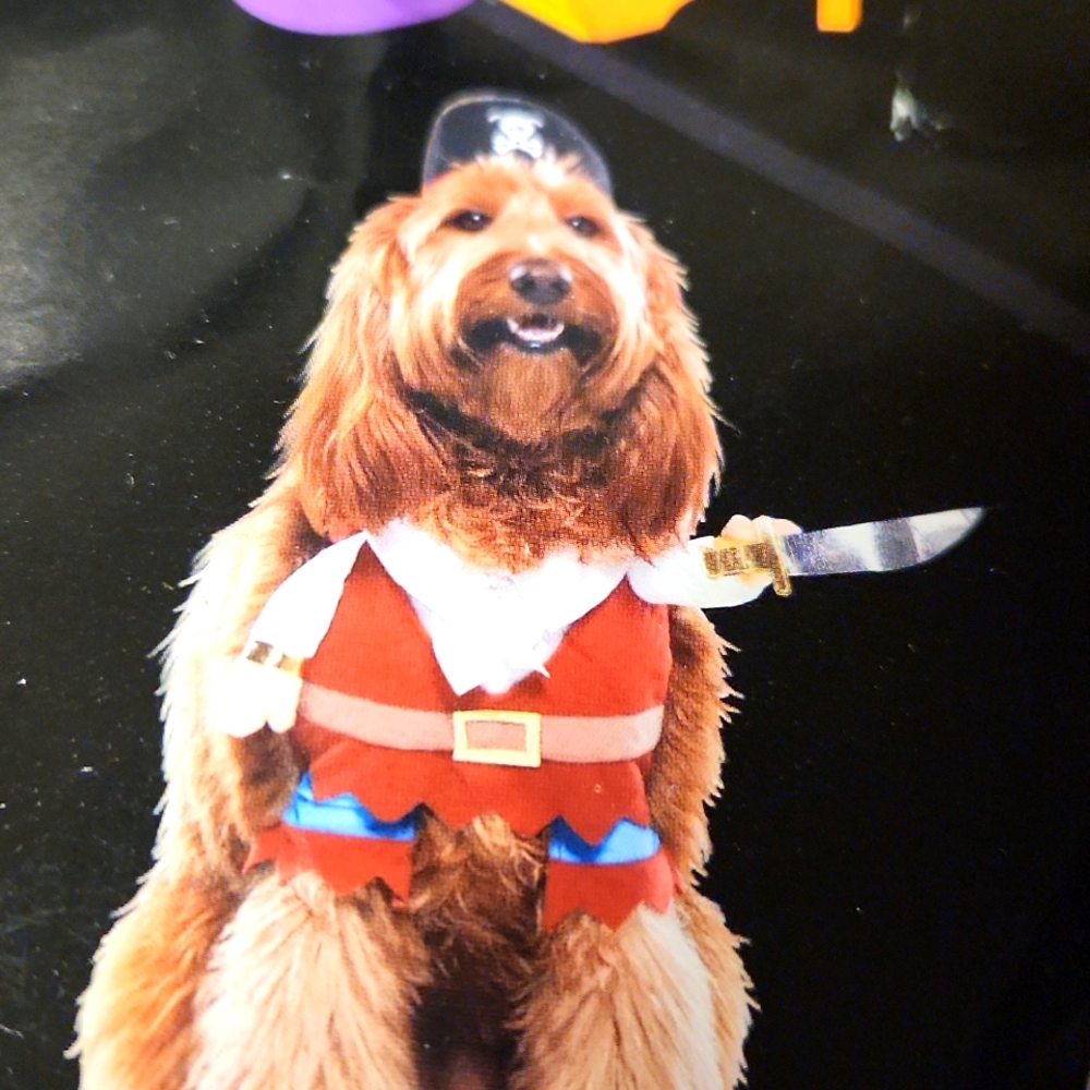 Pirate pet dog Halloween costume size medium  NWT